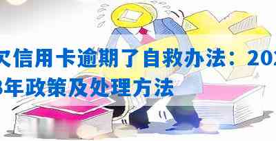 2023年个人信用卡逾期还款策略：如何避免逾期风险，降低影响及解决方法