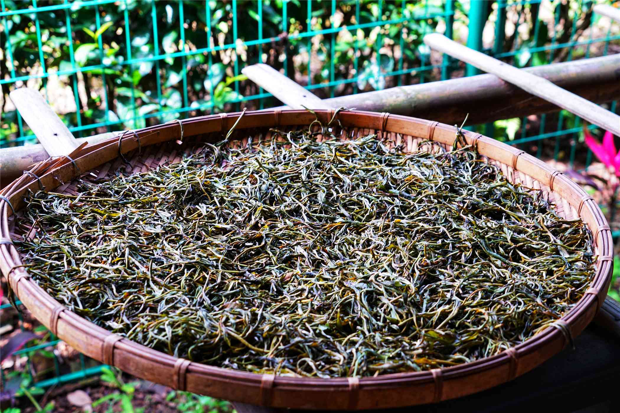 茶马古道陈年普洱价格：茶饼礼盒，念品及烟一包多少钱，盘装茶叶售价