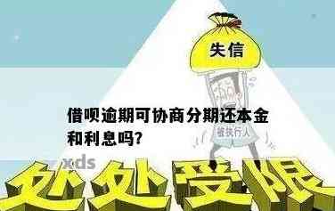 关于借呗贷款后还款期协商的探讨：可行性及可能面临的问题