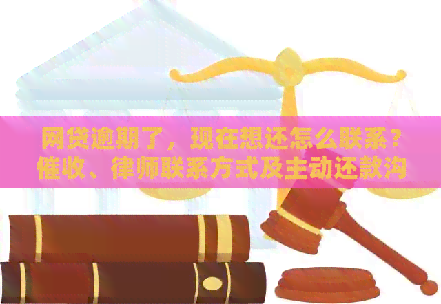 如何主动联系网贷公司解决逾期还款问题