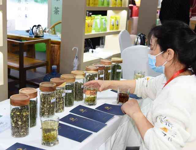 成都普洱茶店：品质越的茶叶选择与专业泡茶技巧体验