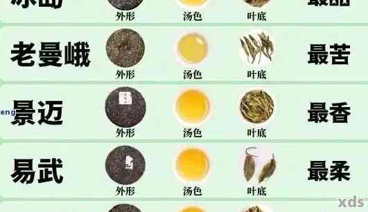 '普洱茶如何鉴别好坏、年份、色素成分和真假，以及查看茶底的方法'