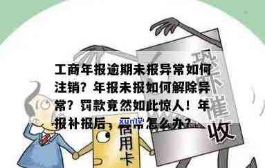 逾期年报补报全攻略：解决步骤、影响与应对措