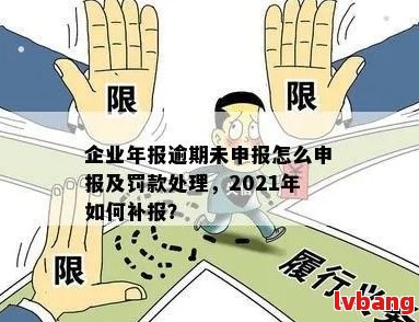 逾期年报补报全攻略：解决步骤、影响与应对措