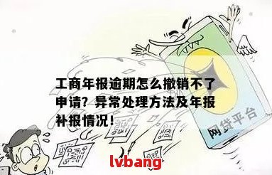 逾期年报补报全攻略：解决步骤、影响与应对措