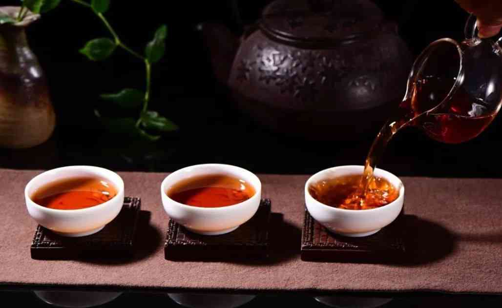 只用普洱茶可以做什么茶：普洱茶奶茶、普洱茶水果茶、普洱茶养生茶饮。