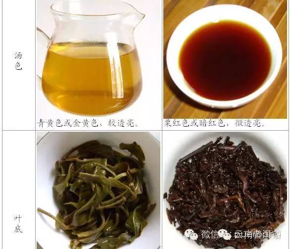 普洱茶阴阳配合的功效