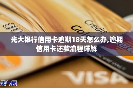 光大信用卡逾期一年还款43000元：如何解决逾期问题，降低罚息和信用影响？