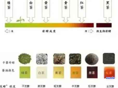 普洱茶花色的形成与什么有关：探究普洱茶花色的成因与特点