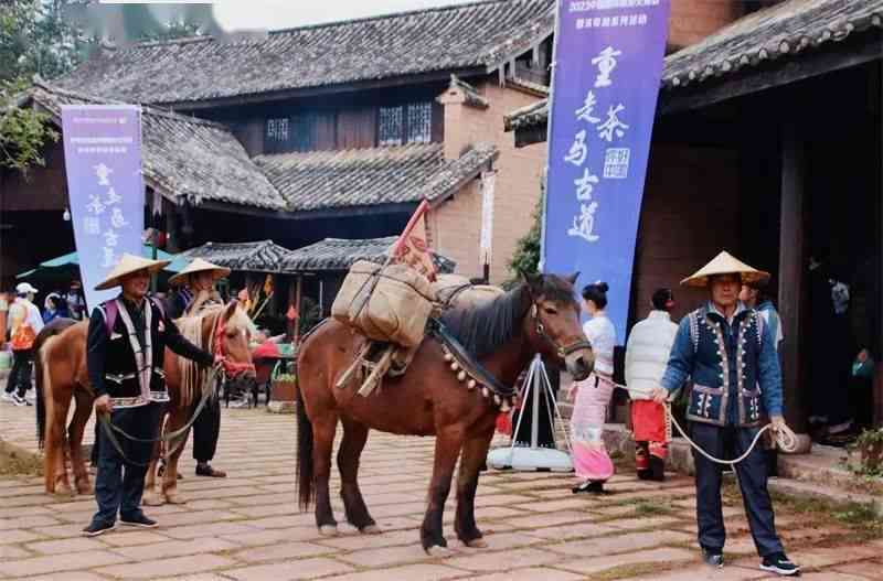 普洱茶马文化传承：探索与创新并重，致力于推广全球茶马文化