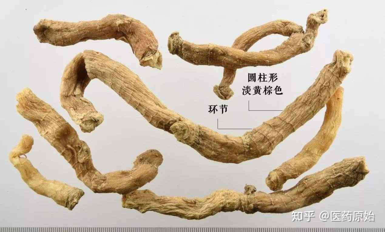 玉竹红皮和黄皮的区别：哪个更好？