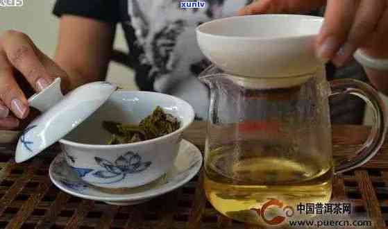 普洱茶的品尝量：如何确定适合自己的饮茶量？