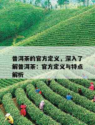 普洱茶的概念及定义及特点：探究普洱茶的起源、制作工艺和独特的品质。