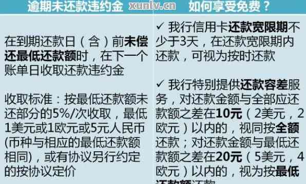 建行宽限期3天内还款未入账怎么办：还款、违约金及后续处理步骤解析