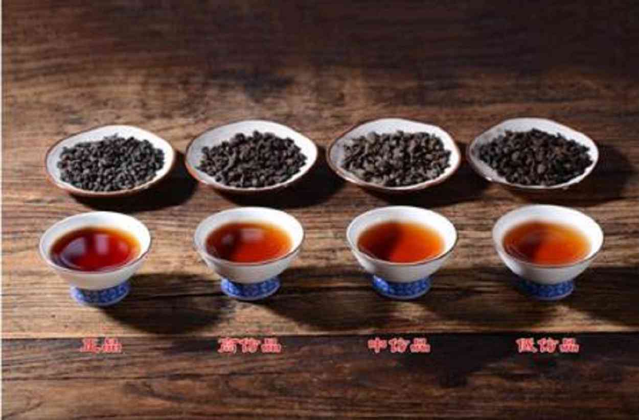 农村普洱茶大盘点：全面了解您心仪的茶叶品种及产地