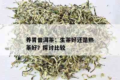 养胃宝能用熟普洱茶吗