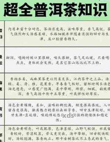 普洱茶理解与认识：个人视角与心得体会