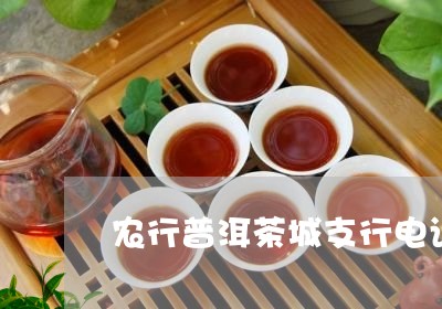 农行普洱茶城支行的行号以及联系方式，如何联系？