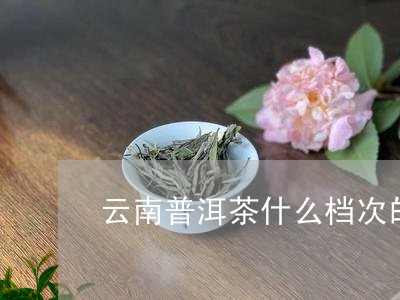 云呐普洱茶是什么档次