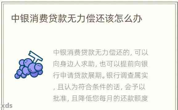 欠中银e货到期无能力一次还清怎么处理