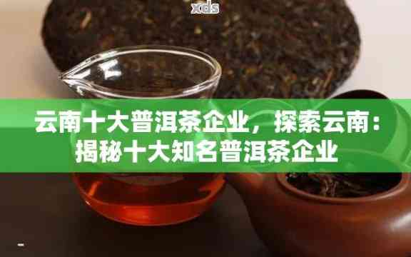 揭秘普洱茶熟茶市场领导者：名副其实的之一背后的秘密与优势