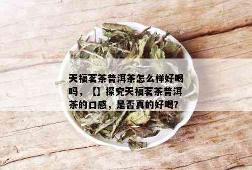 全面了解天福茗茶生普茶：品质、口感、功效及泡法的全方位解析