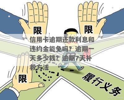 信用卡逾期七天后还款：是否需要一次性支付全额利息？