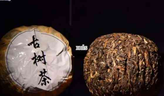 古树普洱茶品鉴：独特风味，健益处，购买指南