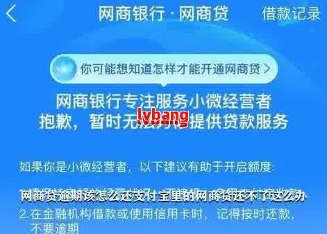 从逾期到结清：我的网商贷经历及如何避免后续问题