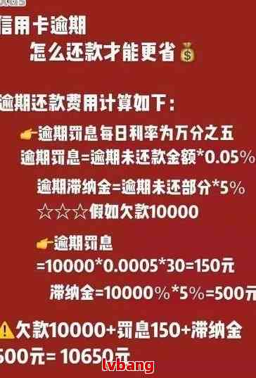 信用卡逾期后看不到要还的余款怎么办？