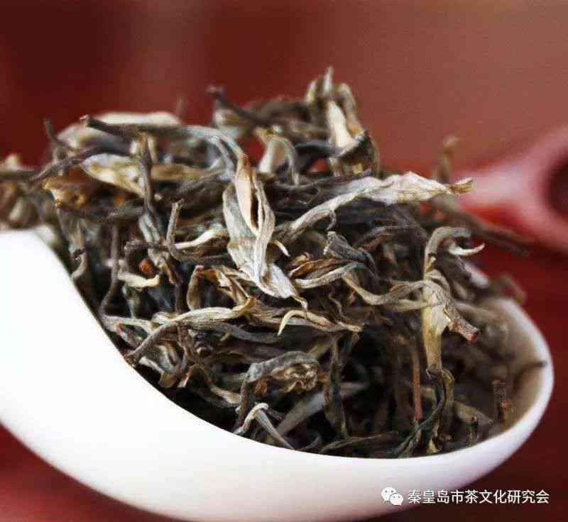 独特风味、历沉淀：探究忙肺古树茶的特点与功效