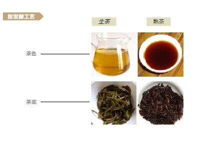 普洱茶工艺制品可饮性及价格，种类与名称