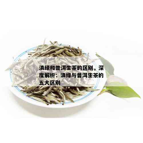 滇绿茶与普洱茶的区别