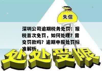 深圳企业逾期申报税务怎么办？首次免罚手续、处理方法及处罚标准详解