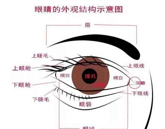 根据手掌78mm确定合适的玉镯尺寸：一份详细的指南