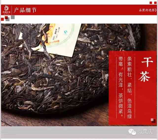 天普洱茶价格表