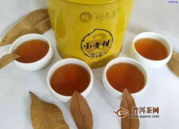 小青柑茶罐装 - 品质与价格对比分析