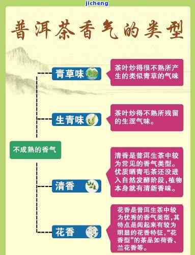 全面解析版纳产区普洱茶香气特征：从种类到品质，一文搞定！