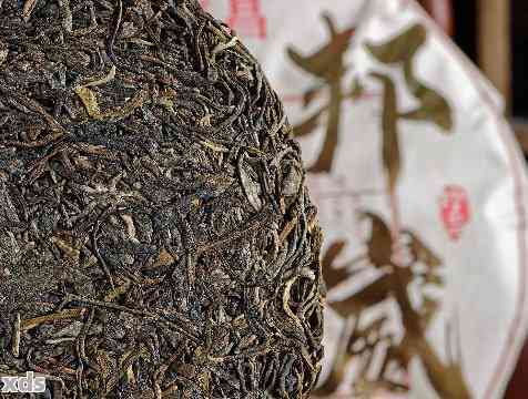 新邦崴普洱茶的品质、档次及其适合哪些茶友品鉴？