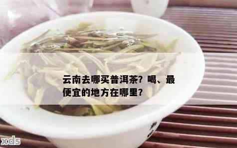 '云南在哪里买普洱茶好，哪里买普洱茶好？云南普洱茶哪里买好喝？'