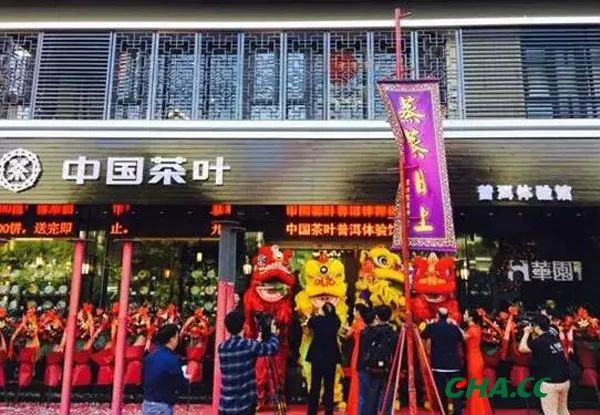 中国普洱茶文化体验中心：棉湖店的品茶之旅