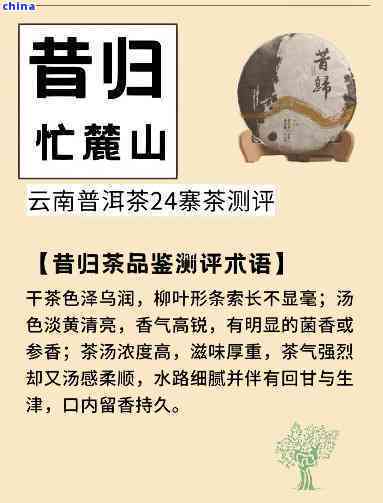 从古至今的普洱茶传奇：探寻昔归茶的起源与流传