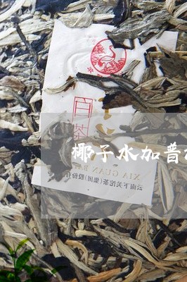 椰子水与普洱茶搭配的功效、禁忌及注意事项：一文解答您的疑问