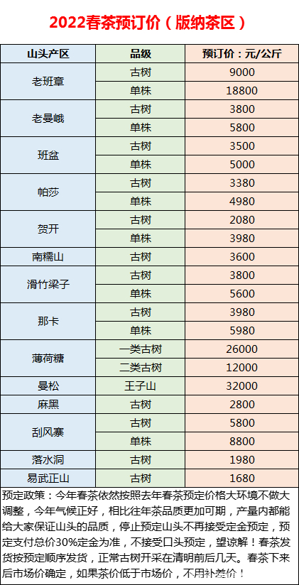 春茶上市普洱茶价格表