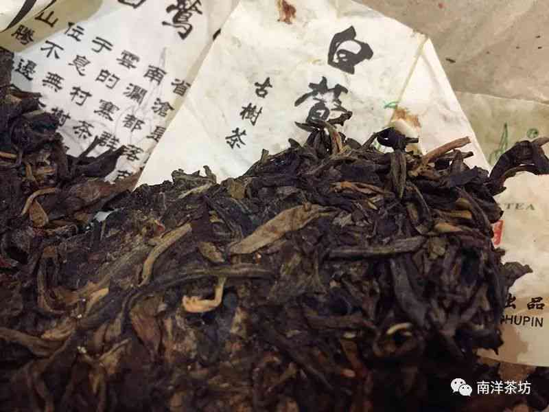 白莺山普洱茶：品质与陈化潜力的双重认证