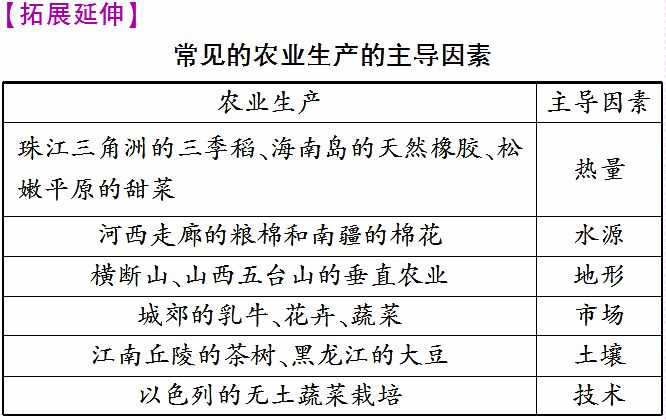 和田玉交易热：探寻河南商贩的成功秘诀与地域背景