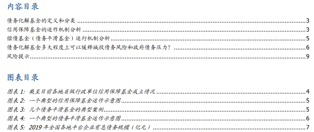 '1191号文件债务试点省份：真实存在并核销，与26号文件有关联'