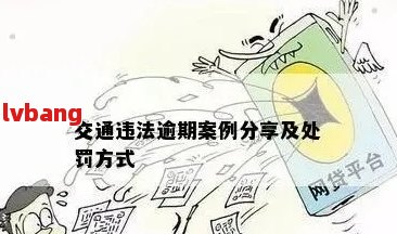 逾期四天后被扣除20元：详细解释与解决方案