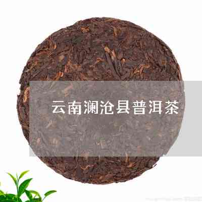 沧源普洱茶属什么茶种