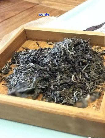 天境系列普洱茶芽多吗：探究其品质与价值